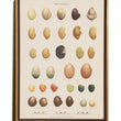 Load image into Gallery viewer, BOTANICAL WALL CHART in Oak frame