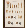 Load image into Gallery viewer, BOTANICAL WALL CHART in Oak frame