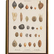 Load image into Gallery viewer, BOTANICAL WALL CHART in Oak frame