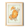 Load image into Gallery viewer, Astronomy engravings in hardwood Frame