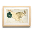 Load image into Gallery viewer, Astronomy engravings in hardwood Frame