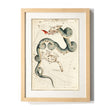 Load image into Gallery viewer, Astronomy engravings in hardwood Frame