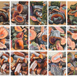 Load image into Gallery viewer, Talhadia numbered prints
