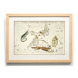 Load image into Gallery viewer, Astronomy engravings in hardwood Frame