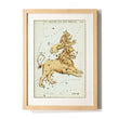 Load image into Gallery viewer, Astronomy engravings in hardwood Frame