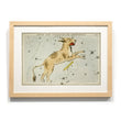 Load image into Gallery viewer, Astronomy engravings in hardwood Frame