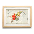 Load image into Gallery viewer, Astronomy engravings in hardwood Frame