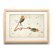 Load image into Gallery viewer, Astronomy engravings in hardwood Frame