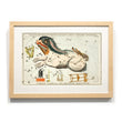 Load image into Gallery viewer, Astronomy engravings in hardwood Frame