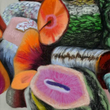 Load image into Gallery viewer, Talhadia numbered prints
