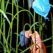 Load image into Gallery viewer, Party is over