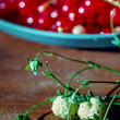 Load image into Gallery viewer, Gardenofhenri#2