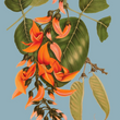 Load image into Gallery viewer, ARTIS charity poster framed.