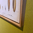 Load image into Gallery viewer, BOTANICAL WALL CHART in Oak frame