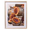 Load image into Gallery viewer, Talhadia numbered prints