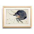 Load image into Gallery viewer, Astronomy engravings in hardwood Frame