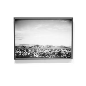 Ansel Adams print