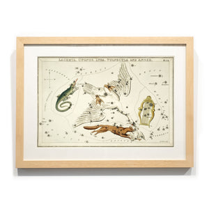 Astronomy engravings in hardwood Frame