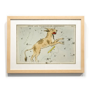 Astronomy engravings in hardwood Frame