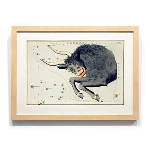 Astronomy engravings in hardwood Frame